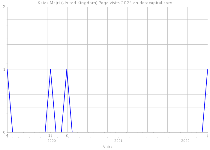 Kaies Mejri (United Kingdom) Page visits 2024 