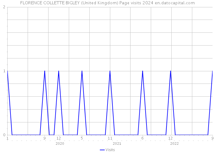 FLORENCE COLLETTE BIGLEY (United Kingdom) Page visits 2024 