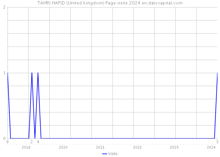 TAHRI HAFID (United Kingdom) Page visits 2024 