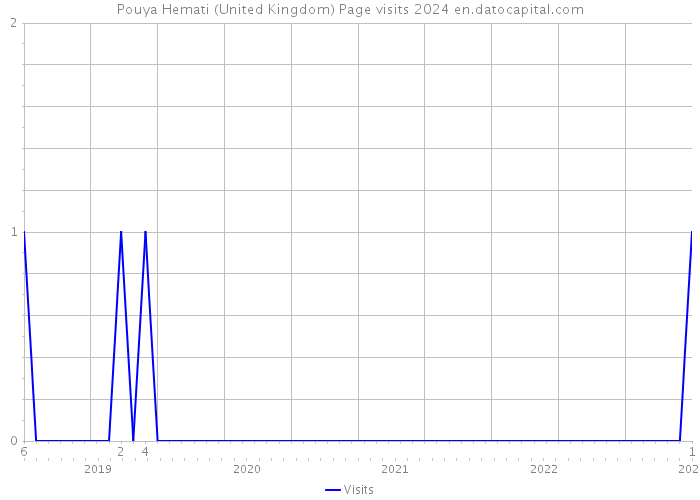 Pouya Hemati (United Kingdom) Page visits 2024 