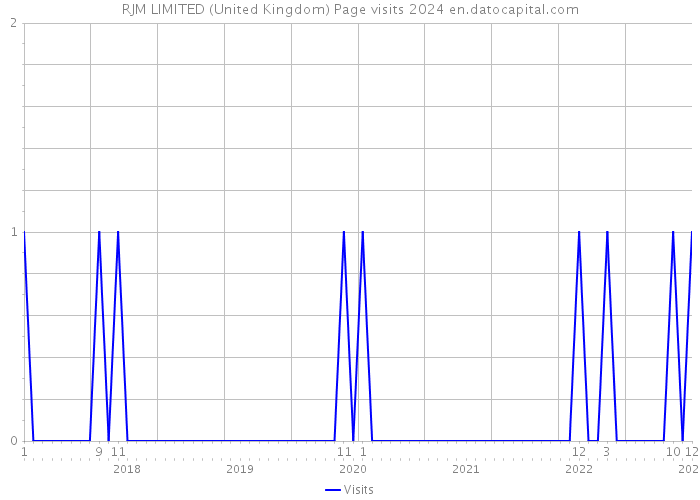 RJM LIMITED (United Kingdom) Page visits 2024 