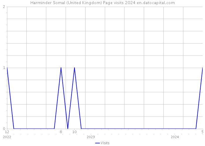 Harminder Somal (United Kingdom) Page visits 2024 