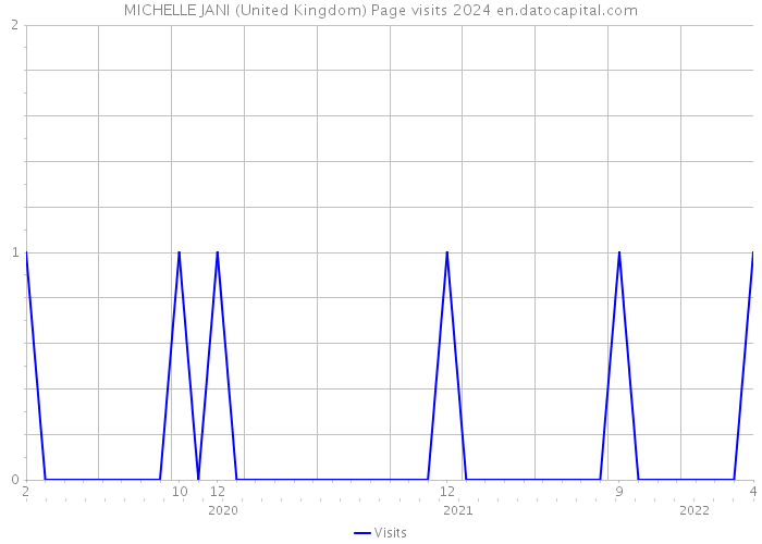 MICHELLE JANI (United Kingdom) Page visits 2024 