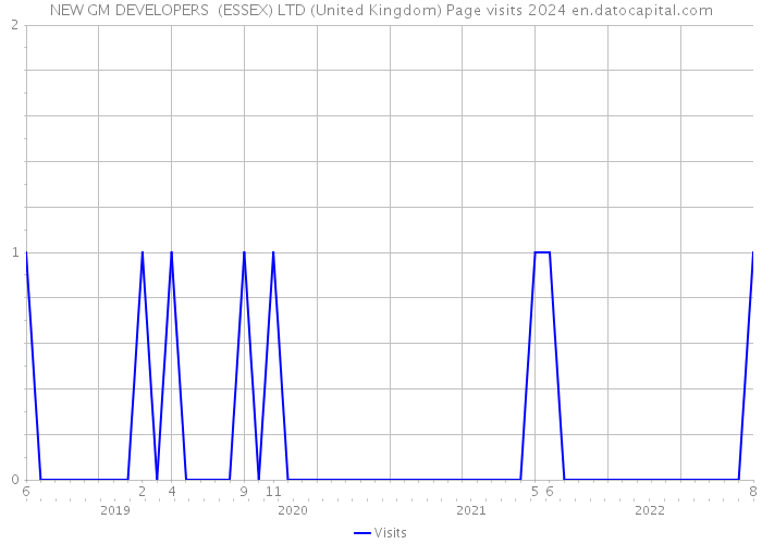 NEW GM DEVELOPERS (ESSEX) LTD (United Kingdom) Page visits 2024 