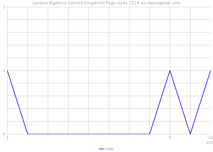 Lyndon Bigmore (United Kingdom) Page visits 2024 