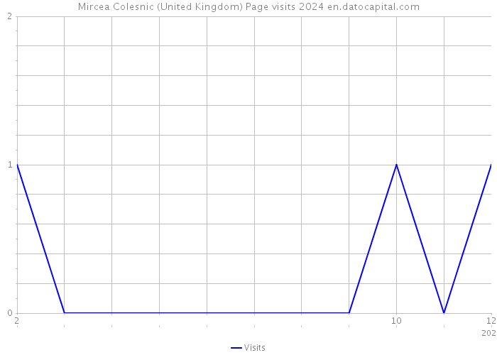 Mircea Colesnic (United Kingdom) Page visits 2024 