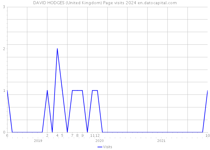DAVID HODGES (United Kingdom) Page visits 2024 