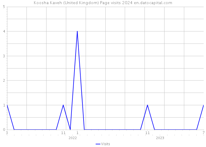 Koosha Kaveh (United Kingdom) Page visits 2024 