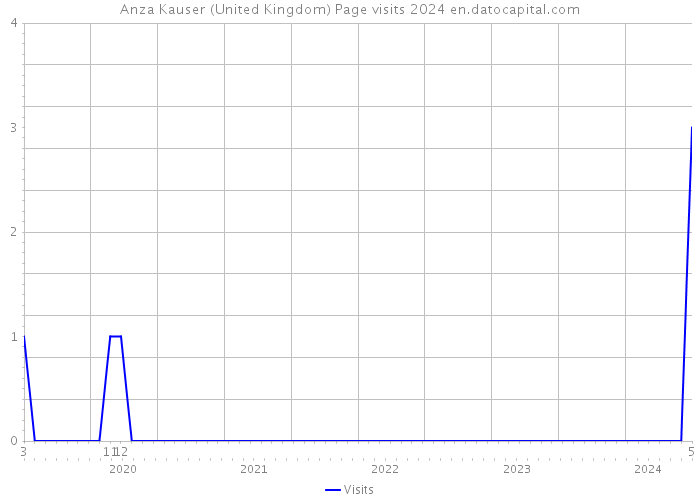Anza Kauser (United Kingdom) Page visits 2024 