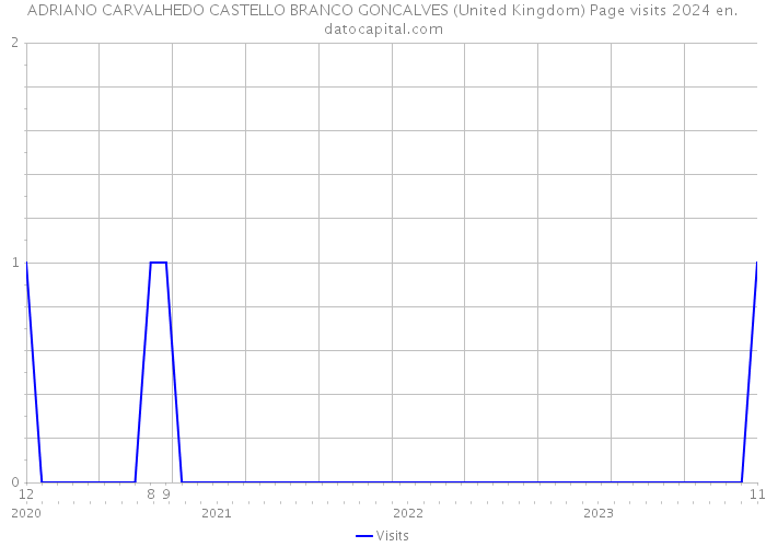 ADRIANO CARVALHEDO CASTELLO BRANCO GONCALVES (United Kingdom) Page visits 2024 