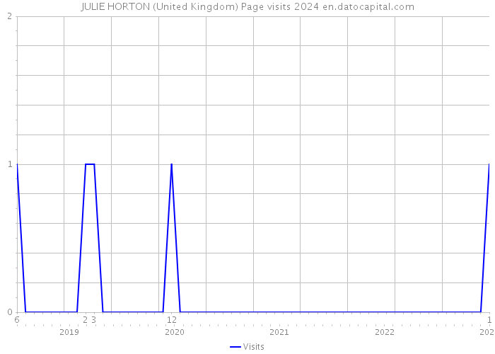 JULIE HORTON (United Kingdom) Page visits 2024 