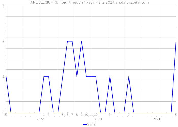 JANE BELGIUM (United Kingdom) Page visits 2024 