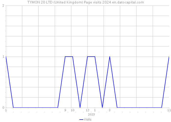 TYMON 20 LTD (United Kingdom) Page visits 2024 