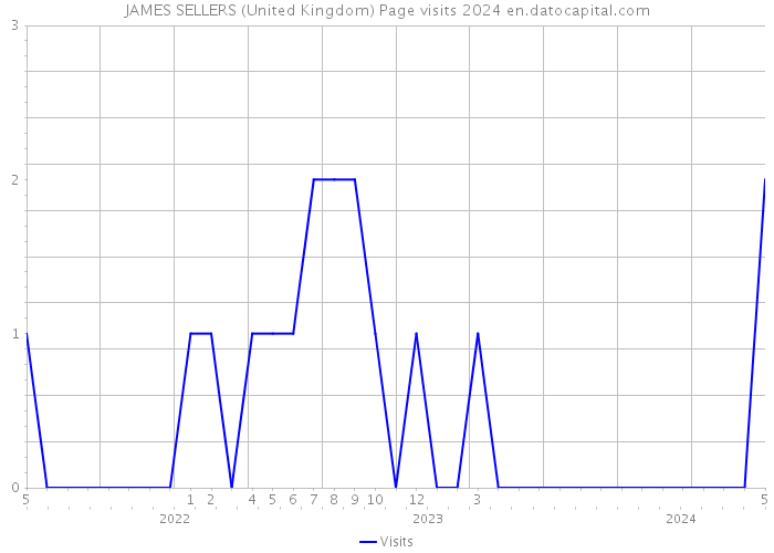JAMES SELLERS (United Kingdom) Page visits 2024 