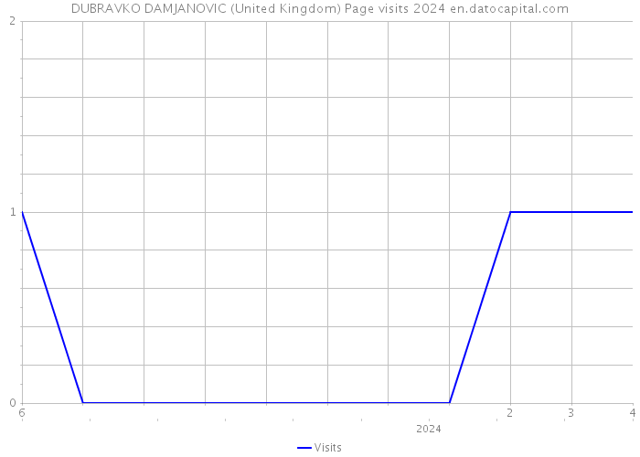 DUBRAVKO DAMJANOVIC (United Kingdom) Page visits 2024 