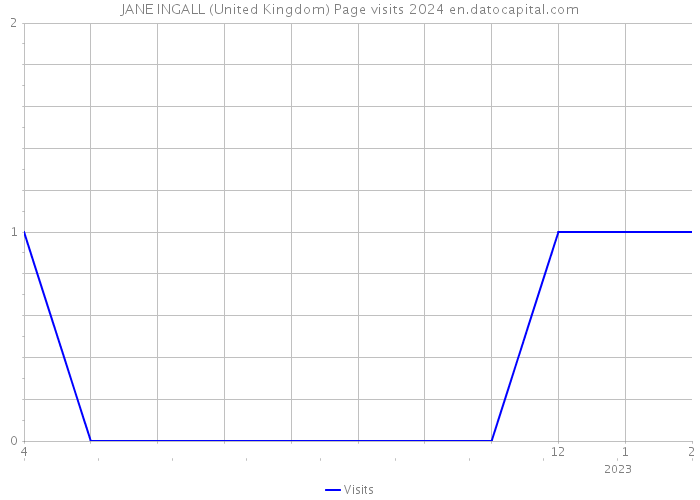 JANE INGALL (United Kingdom) Page visits 2024 