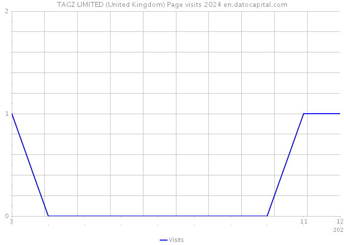 TAGZ LIMITED (United Kingdom) Page visits 2024 
