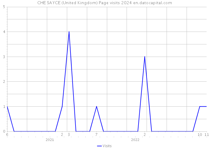 CHE SAYCE (United Kingdom) Page visits 2024 