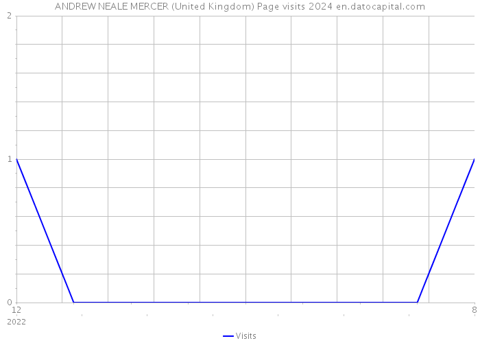 ANDREW NEALE MERCER (United Kingdom) Page visits 2024 