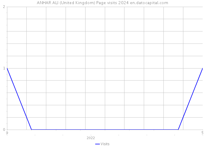 ANHAR ALI (United Kingdom) Page visits 2024 