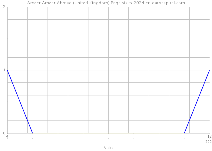 Ameer Ameer Ahmad (United Kingdom) Page visits 2024 