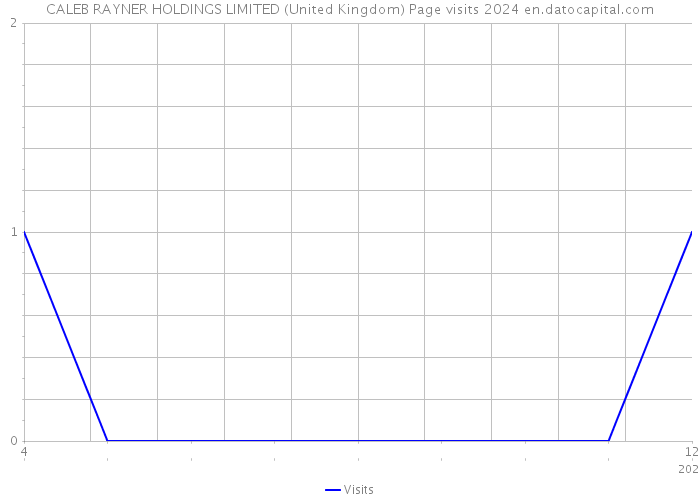 CALEB RAYNER HOLDINGS LIMITED (United Kingdom) Page visits 2024 