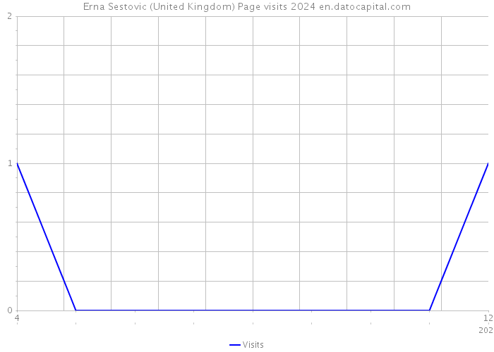 Erna Sestovic (United Kingdom) Page visits 2024 