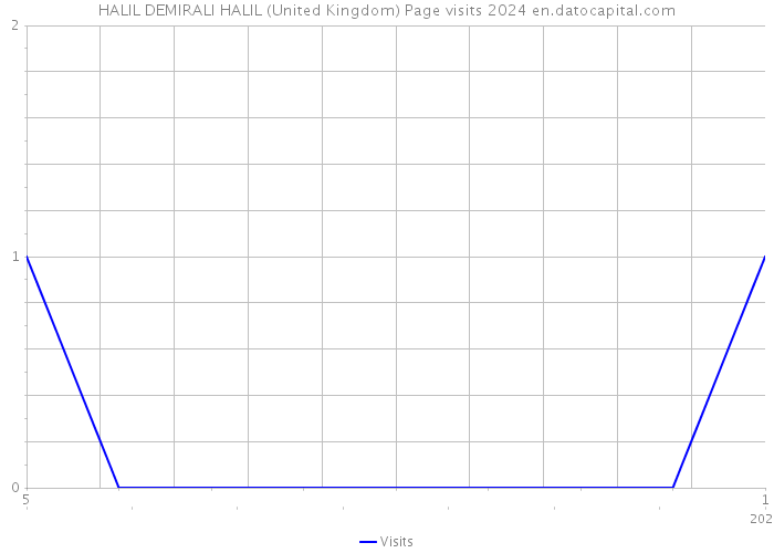 HALIL DEMIRALI HALIL (United Kingdom) Page visits 2024 