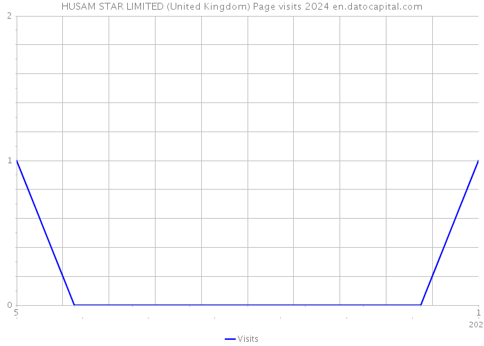 HUSAM STAR LIMITED (United Kingdom) Page visits 2024 