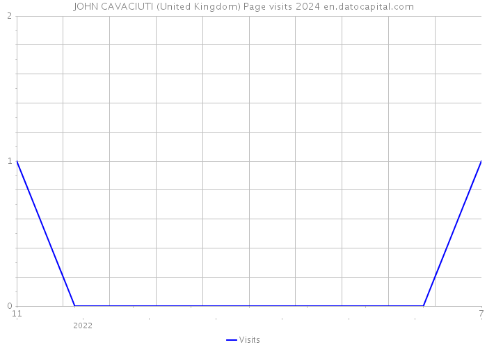 JOHN CAVACIUTI (United Kingdom) Page visits 2024 