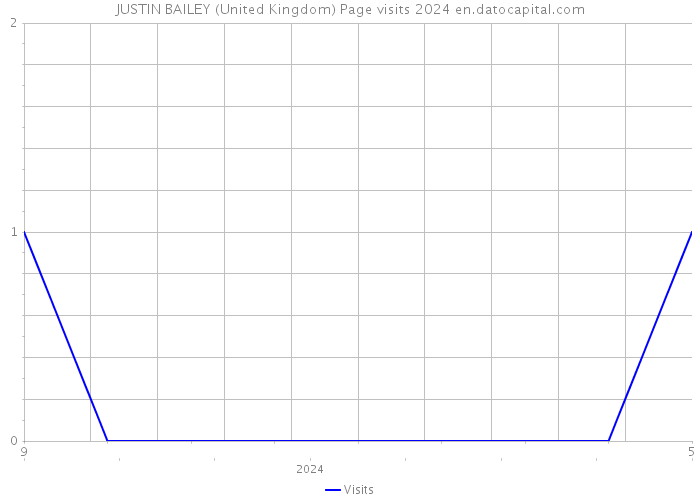 JUSTIN BAILEY (United Kingdom) Page visits 2024 