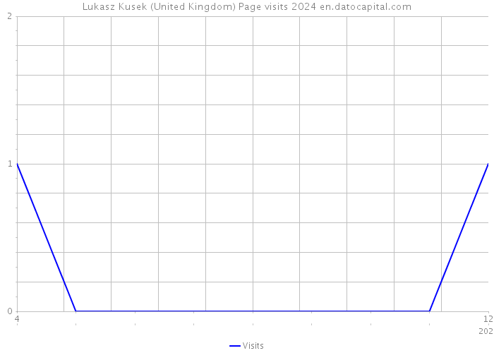 Lukasz Kusek (United Kingdom) Page visits 2024 