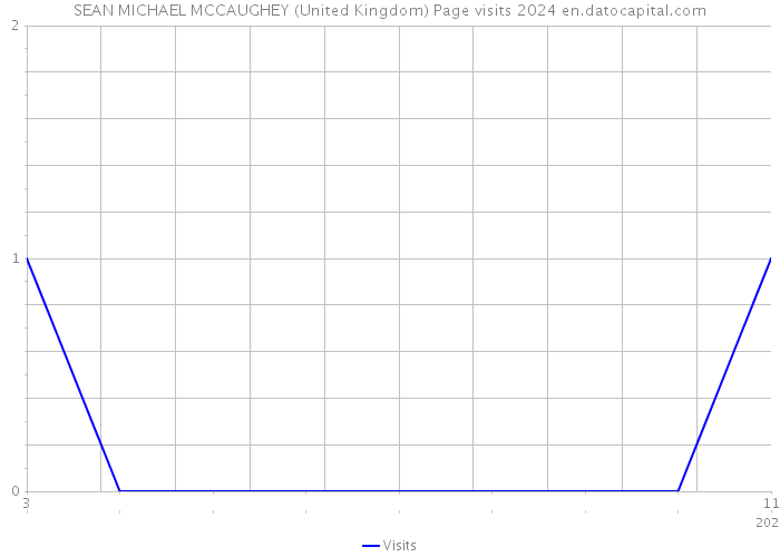 SEAN MICHAEL MCCAUGHEY (United Kingdom) Page visits 2024 