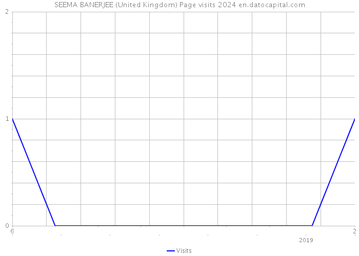 SEEMA BANERJEE (United Kingdom) Page visits 2024 