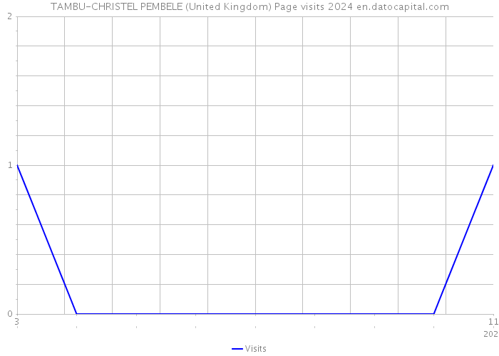 TAMBU-CHRISTEL PEMBELE (United Kingdom) Page visits 2024 