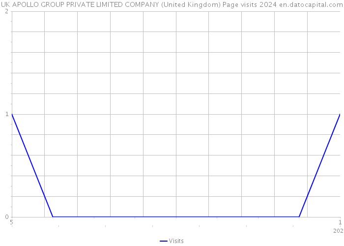 UK APOLLO GROUP PRIVATE LIMITED COMPANY (United Kingdom) Page visits 2024 