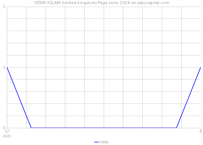 YESIM ASLAM (United Kingdom) Page visits 2024 