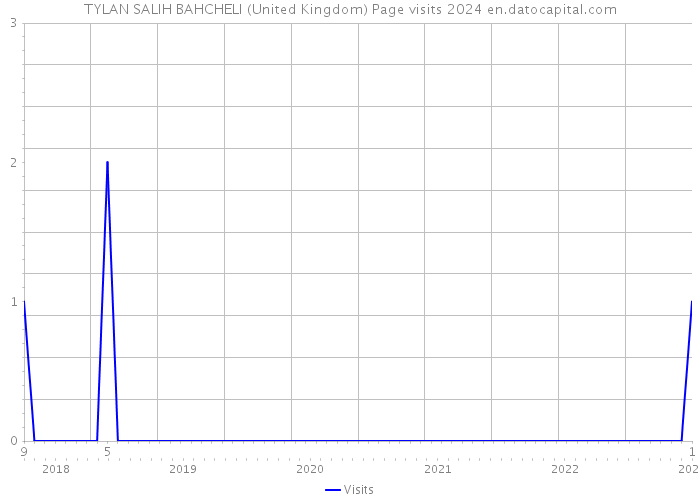 TYLAN SALIH BAHCHELI (United Kingdom) Page visits 2024 