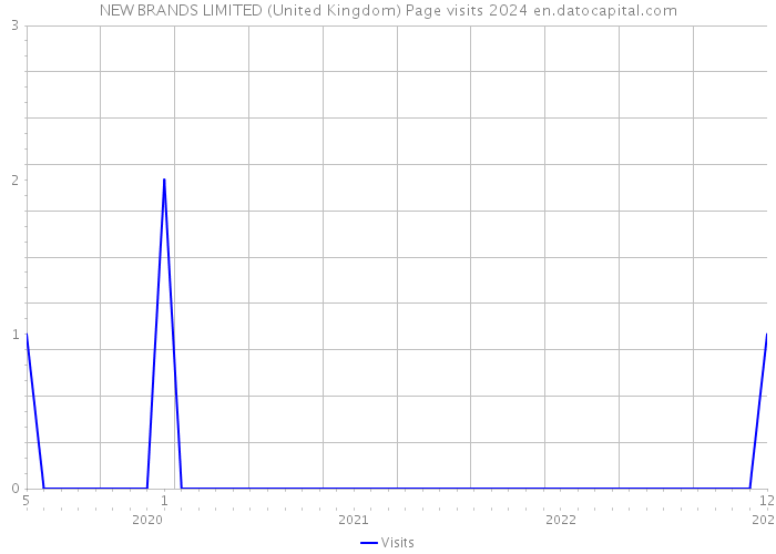 NEW BRANDS LIMITED (United Kingdom) Page visits 2024 