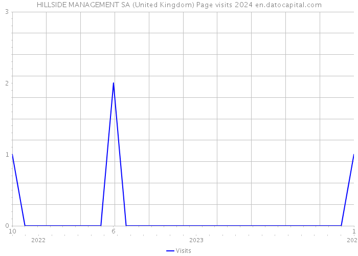 HILLSIDE MANAGEMENT SA (United Kingdom) Page visits 2024 