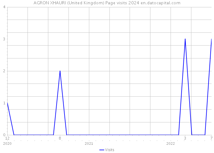AGRON XHAURI (United Kingdom) Page visits 2024 