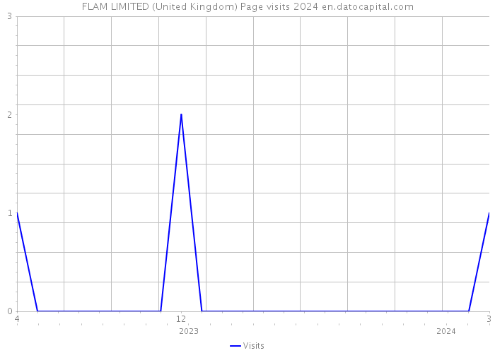 FLAM LIMITED (United Kingdom) Page visits 2024 
