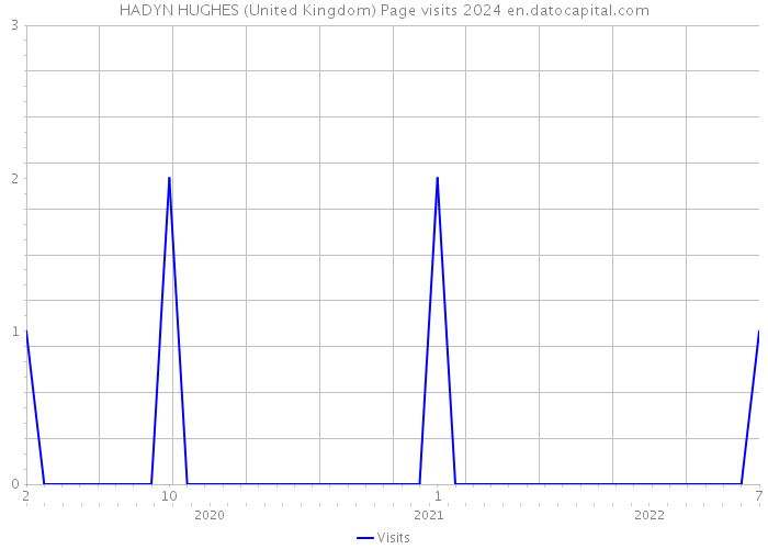 HADYN HUGHES (United Kingdom) Page visits 2024 