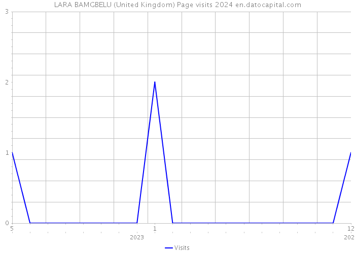 LARA BAMGBELU (United Kingdom) Page visits 2024 
