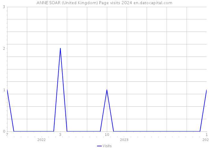 ANNE SOAR (United Kingdom) Page visits 2024 