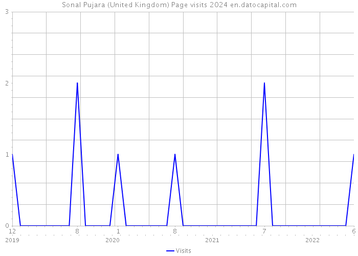 Sonal Pujara (United Kingdom) Page visits 2024 