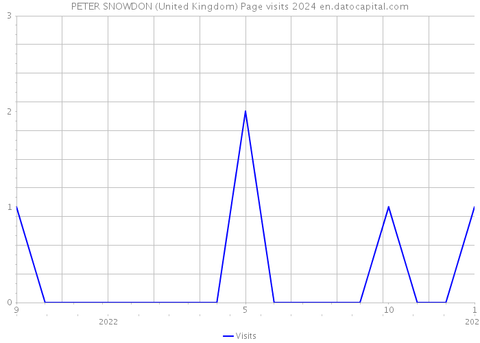PETER SNOWDON (United Kingdom) Page visits 2024 