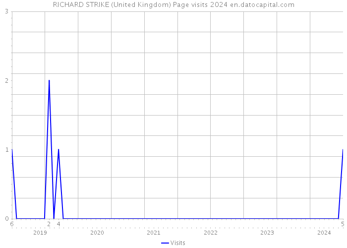 RICHARD STRIKE (United Kingdom) Page visits 2024 