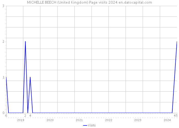 MICHELLE BEECH (United Kingdom) Page visits 2024 