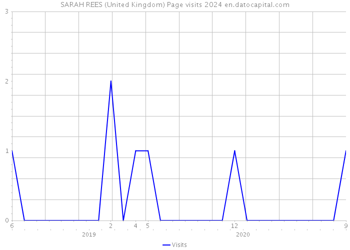 SARAH REES (United Kingdom) Page visits 2024 